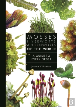 Bertrand.pt - Mosses, Liverworts, And Hornworts Of The World
