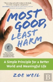 Most Good, Least Harm