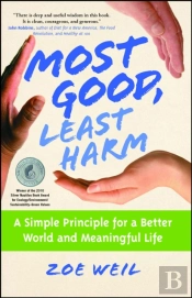 Most Good, Least Harm