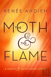 Moth & The Flame