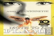Moth To A Flame