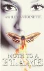 Moth To A Flame