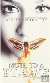 Moth To A Flame