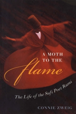 Bertrand.pt - Moth To The Flame