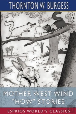 Bertrand.pt - Mother West Wind How Stories (Esprios Classics)