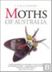 Moths Of Australia