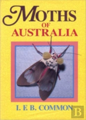 Moths Of Australia