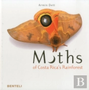 Moths Of Costa Rica'S Rainforest