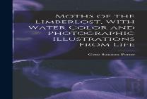 Moths Of The Limberlost, With Water Color And Photographic Illustrations From Life