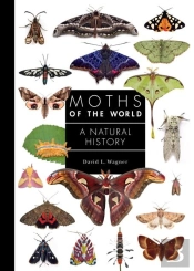 Moths Of The World