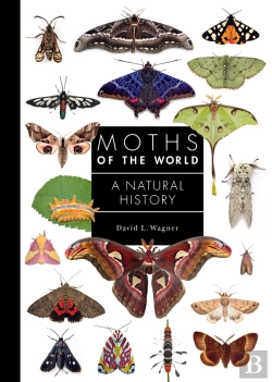 Bertrand.pt - Moths Of The World