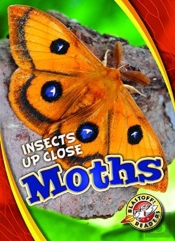 Moths