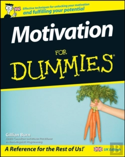 Bertrand.pt - Motivation For Dummies