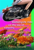 Motorcycle Ride On The Sea Of Tranquility