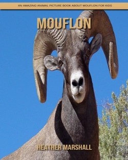 Bertrand.pt - Mouflon