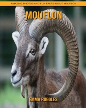 Mouflon