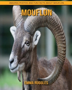 Bertrand.pt - Mouflon