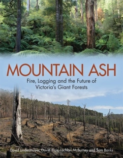 Bertrand.pt - Mountain Ash