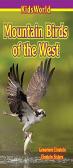 Mountain Birds Of The West