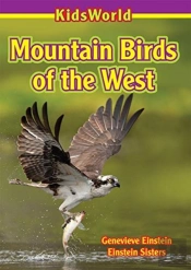 Mountain Birds Of The West