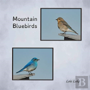 Mountain Bluebirds