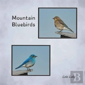 Mountain Bluebirds