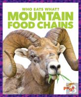 Mountain Food Chains