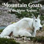 Mountain Goats Of The Alpine Regions Picture Book