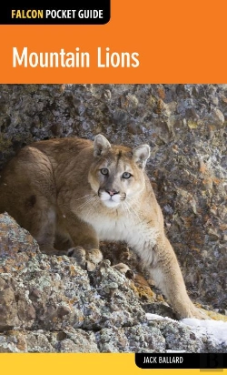 Bertrand.pt - Mountain Lions