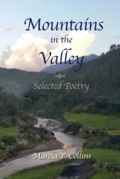 Mountains In The Valley