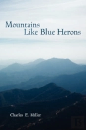 Mountains Like Blue Herons