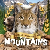 Mountains