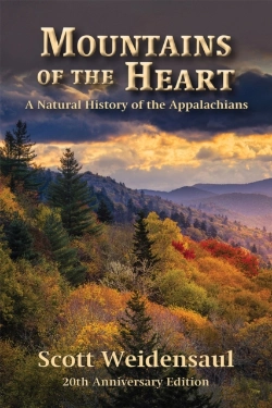 Bertrand.pt - Mountains Of The Heart