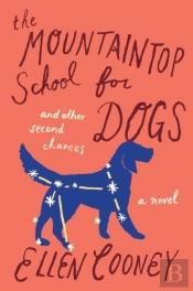 Mountaintop School For Dogs And Other Second Chances