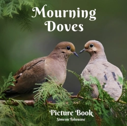Bertrand.pt - Mourning Doves Picture Book