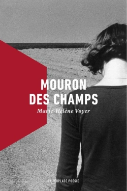 Bertrand.pt - Mouron Des Champs
