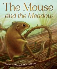 Mouse And The Meadow