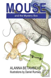 Mouse And The Mystery Box