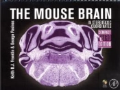 Mouse Brain In Stereotaxic Coordinatescompact