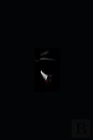 Mr Black & And The Mysteries