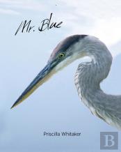 Mr. Blue