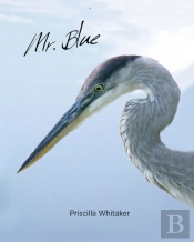 Mr. Blue