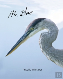 Bertrand.pt - Mr. Blue