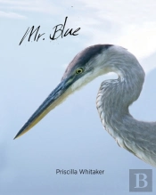 Mr. Blue
