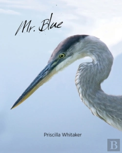 Bertrand.pt - Mr. Blue