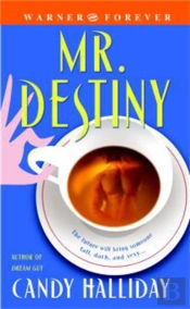 Mr Destiny