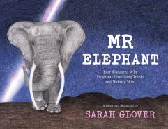 Mr Elephant