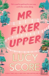Mr Fixer Upper