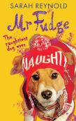 Mr Fudge