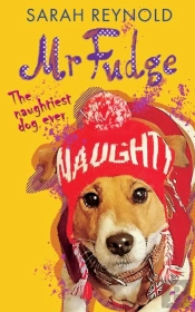 Mr Fudge